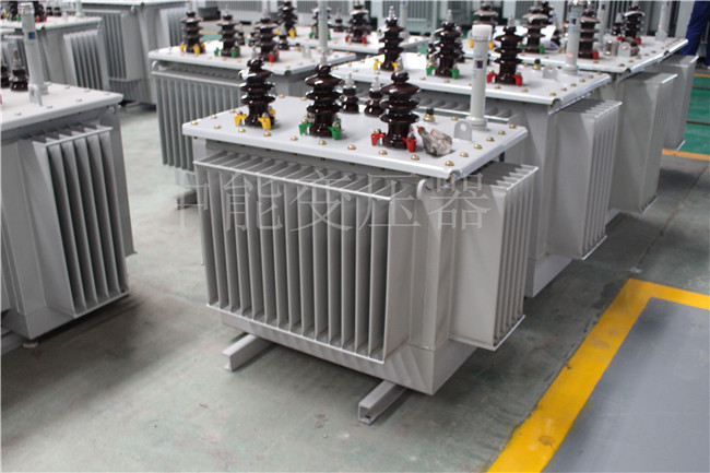保山S22-100KVA/10KV/0.4KV变压器